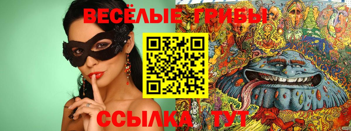 Сарапул  Галлюциногенные грибы Psilocybe  Вход с VPN 